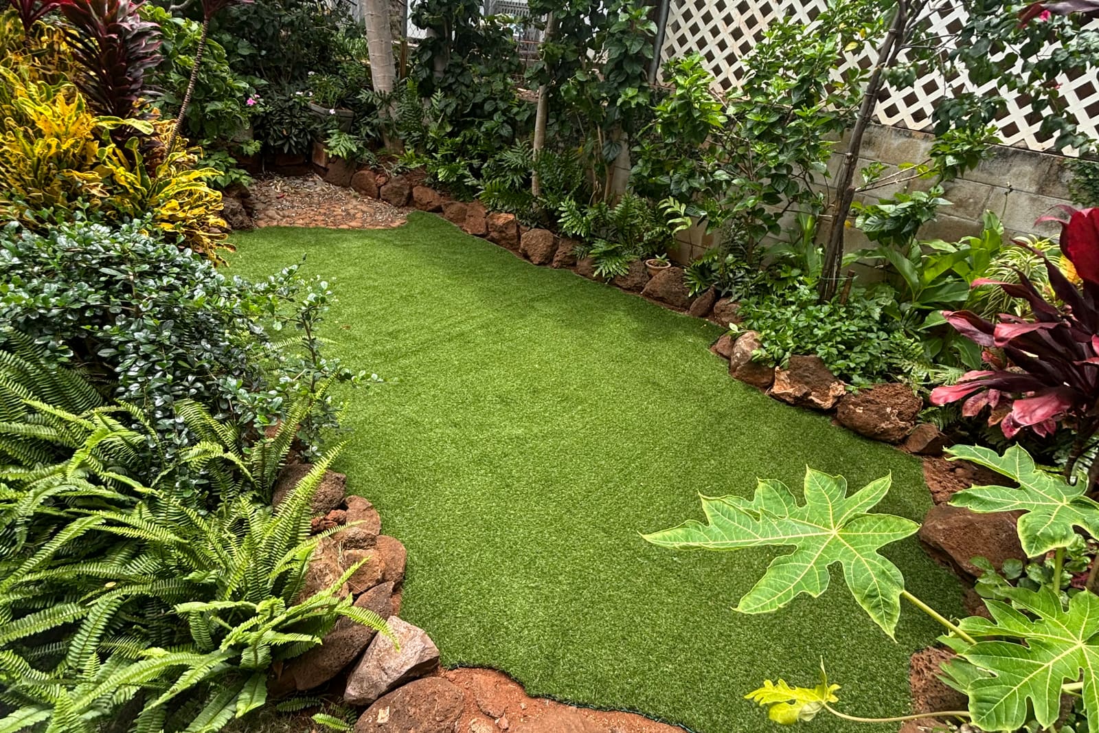 Artificial turf install with lava rock border and tropical plantings in a Diamond Head yard
