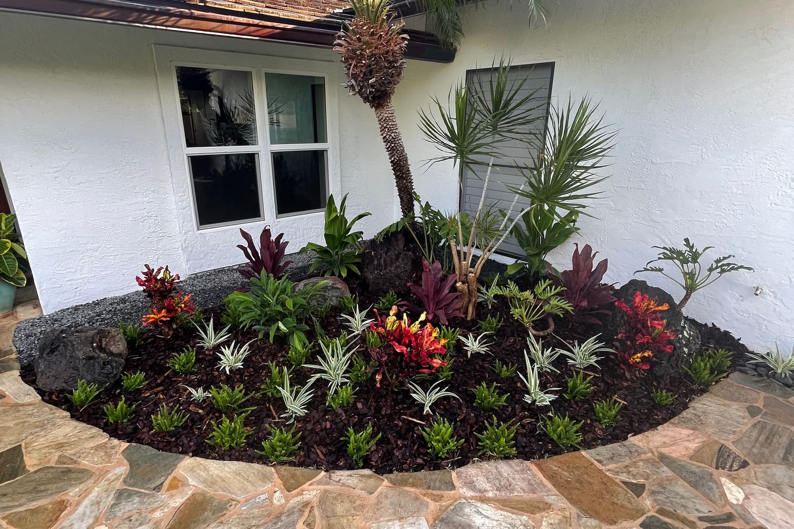 Custom flower bed install with black lava mulch and mixed tropical plantings